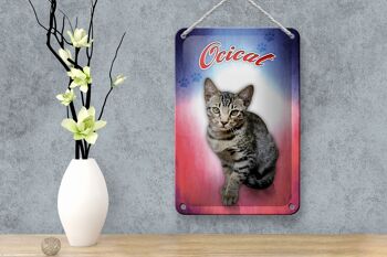 Plaque en tôle chat 18x12cm décoration murale Ocicat 4