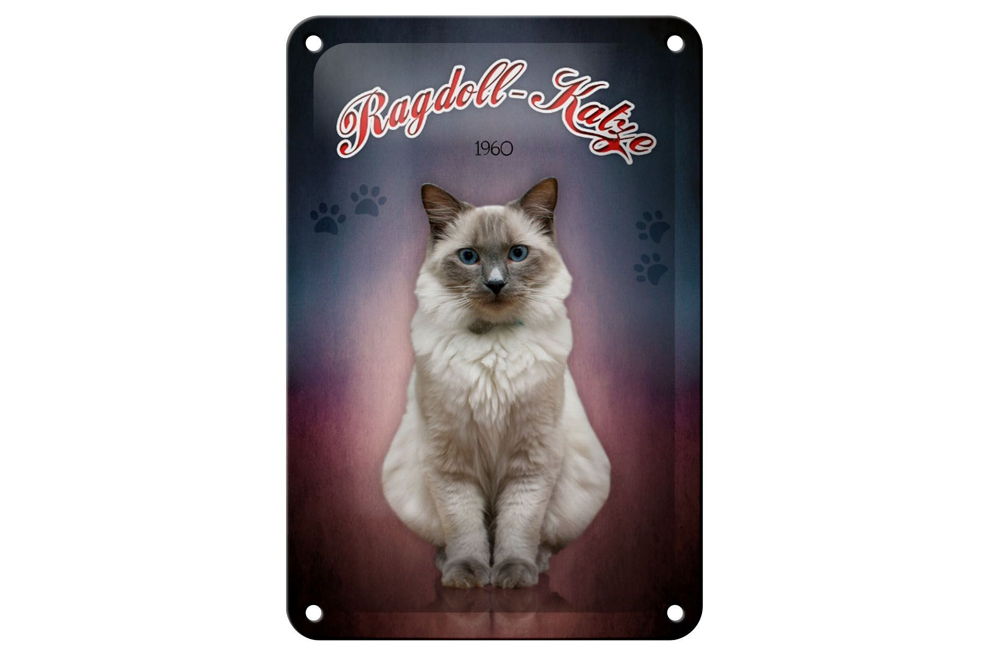 Tin sign cat 18x12cm Ragdoll cat 1960 wall decoration