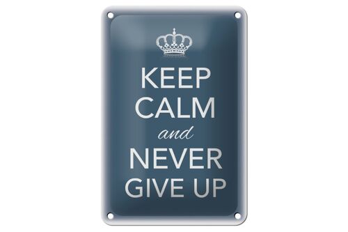 Blechschild Spruch 12x18cm Keep Calm and never give up Dekoration