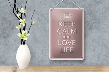 Panneau en étain disant 12x18cm, décoration Keep Calm and love life 4