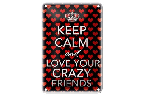 Blechschild Spruch 12x18cm Keep Calm and love crazy friends Dekoration