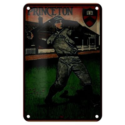 Blechschild Retro 12x18cm Princeton Baseball Dekoration