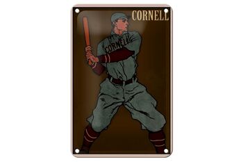 Signe en étain rétro 12x18cm, décoration de batteur de Baseball Cornell 1