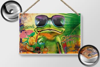 Signe en étain grenouille 18x12cm, décoration de plage d'été pour Cocktail Mojito 2