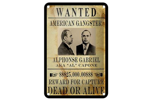 Blechschild Spruch 12x18cm wanted Alphonse Gabriel american Dekoration