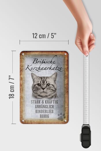 Panneau en étain disant 12x18cm, décoration cadeau pour chat British shorthair 5