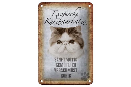 Blechschild Spruch 12x18cm exotische Kurzhaarkatze Katze Dekoration