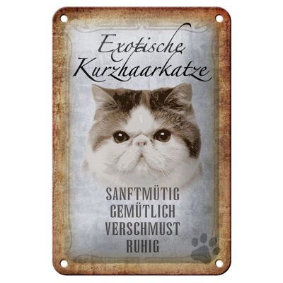Tin sign saying 12x18cm exotic shorthair cat cat decoration