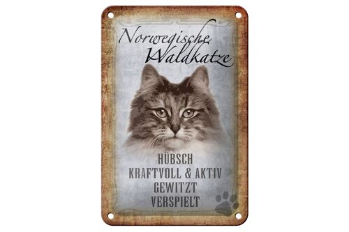 Blechschild Spruch 12x18cm norvegische Waldkatze Katze Wanddeco Schild