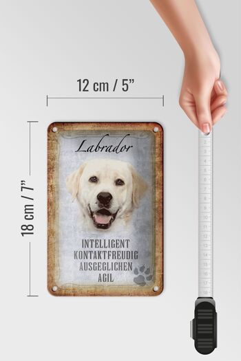 Panneau en étain disant 12x18cm, décoration cadeau pour chien Labrador 5