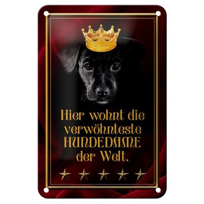 Targa in metallo con scritta 12x18 cm qui vive la signora del cane del mondo, decorazione