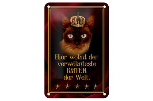 Blechschild Spruch 12x18cm hier wohnt Kater der Welt Dekoration