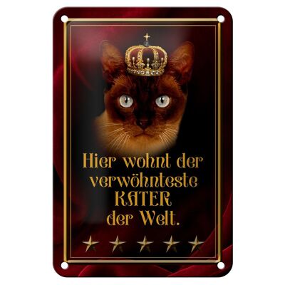 Blechschild Spruch 12x18cm hier wohnt Kater der Welt Dekoration