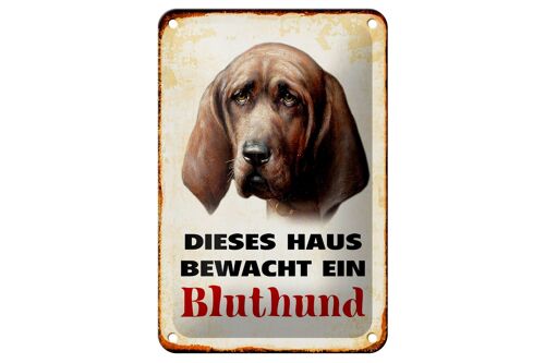 Blechschild Hund 12x18cm dieses Haus bewacht ein Bluthund Dekoration