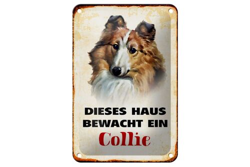 Blechschild Hund 12x18cm dieses Haus bewacht ein Collie Dekoration