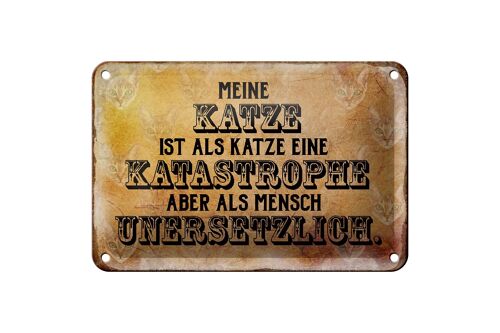 Blechschild Spruch 18x12cm meine Katze ist eine Katastrophe Dekoration