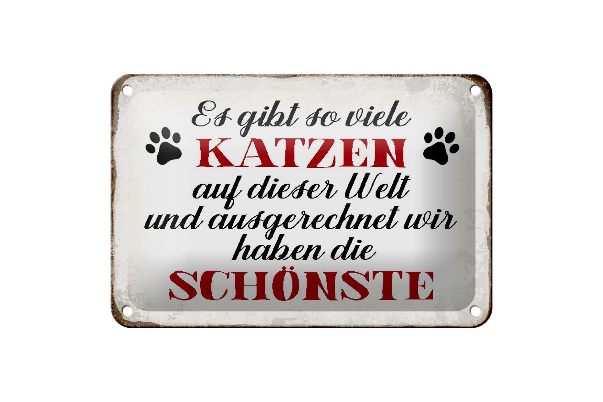 Targa in metallo 18x12 cm con scritta "Abbiamo la più bella decorazione per gatti".