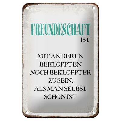 Blechschild Spruch 12x18cm Freundschaft ist mit anderen Dekoration