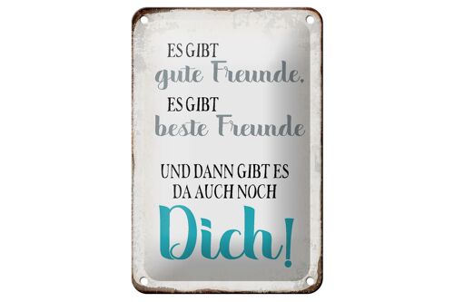 Blechschild Spruch 12x18cm gibt gute Freunde auch noch Dich Dekoration