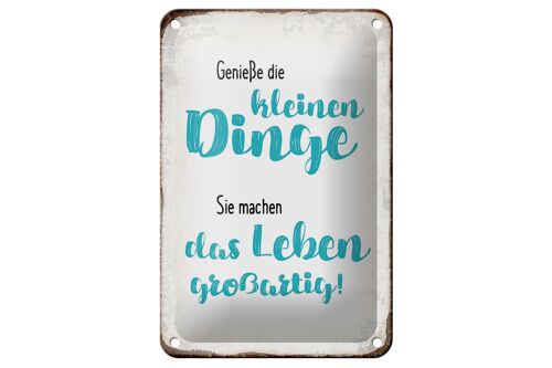 Blechschild Spruch 12x18cm genieße kleine Dinge sie machen Dekoration