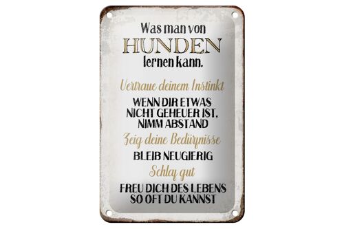 Blechschild Spruch 12x18cm was man von Hunden lernen kann Dekoration