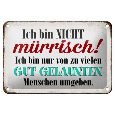 Blechschild Spruch 18x12cm ich bin nicht mürrisch bin nur Dekoration