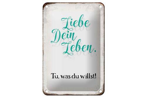 Blechschild Spruch 12x18cm liebe dein Leben tue was willst Dekoration