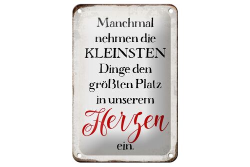 Blechschild Spruch 12x18cm die kleinsten Dinge größte Platz Dekoration