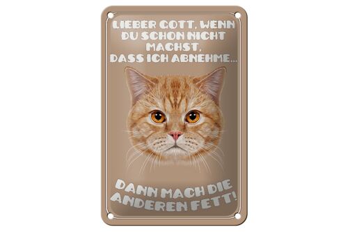 Blechschild Katze 12x18cm lieber Gott wenn du schon nicht Dekoration