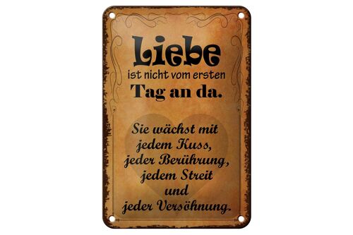 Blechschild Spruch 12x18cm Liebe ist nicht vom ersten Tag Dekoration