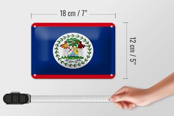 Drapeau du Belize en étain, 18x12cm, décoration du drapeau du Belize 5