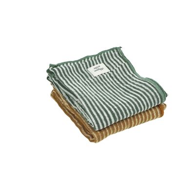 Set of 2 assorted striped tea towels