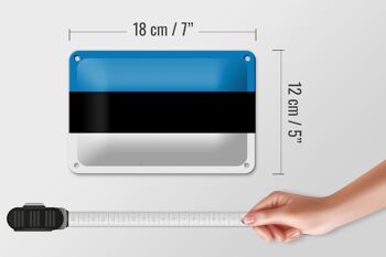 Signe en étain drapeau de l'estonie 18x12cm, décoration du drapeau de l'estonie 5
