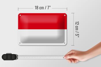 Signe en étain drapeau de l'indonésie, 18x12cm, décoration du drapeau de l'indonésie 5