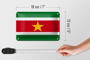 Drapeau en étain du Suriname, 18x12cm, décoration du drapeau du Suriname 5