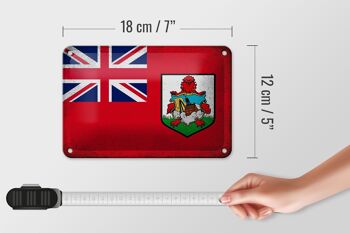 Drapeau en étain des Bermudes, 18x12cm, drapeau des Bermudes, décoration Vintage 5