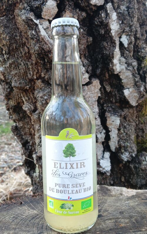 Sève de bouleau lactofermentée