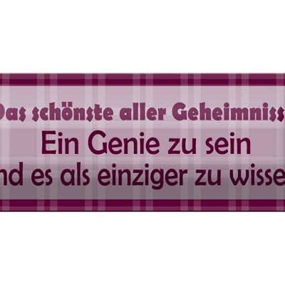 Blechschild Spruch 27x10cm Genie sein und es als einziger wissen