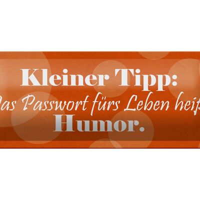 Blechschild Spruch 27x10cm Passwort für's Leben Humor Dekoration