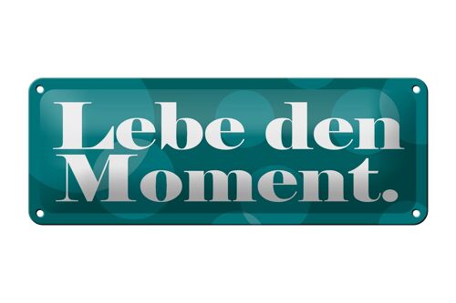 Blechschild Spruch 27x10cm Lebe den Moment Dekoration