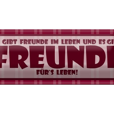 Blechschild Spruch 27x10cm Es gibt Freunde im Leben Dekoration