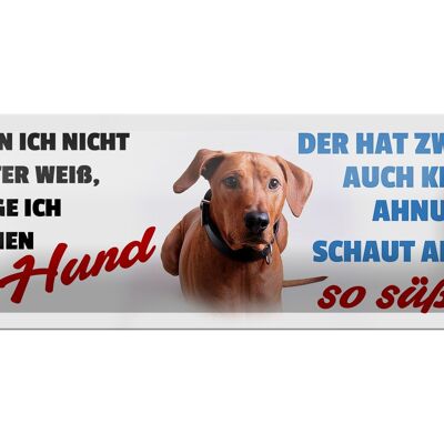 Blechschild Spruch 27x10cm mein Hund schaut so süß Dekoration