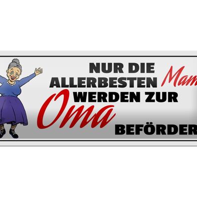 Blechschild Spruch 27x10cm zur Oma befördert Dekoration