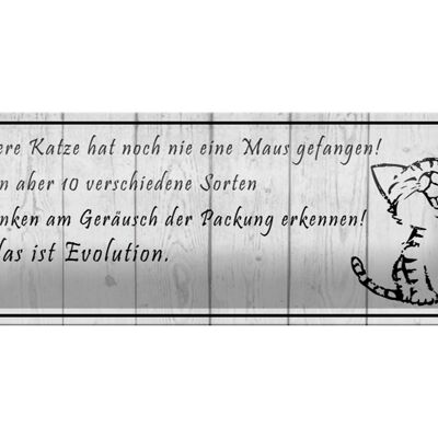 Blechschild Spruch 27x10cm unsere Katze noch Maus gefangen Dekoration