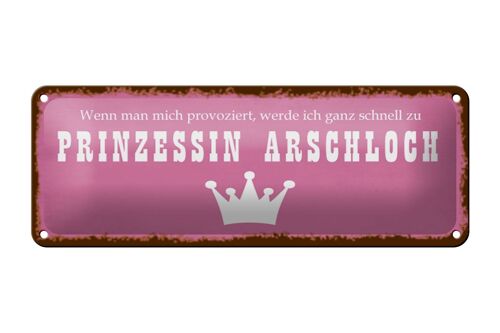 Blechschild Spruch 27x10cm ich zu Prinzessin Arschloch Dekoration