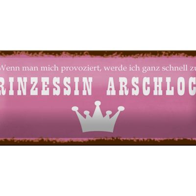 Blechschild Spruch 27x10cm ich zu Prinzessin Arschloch Dekoration
