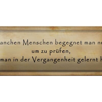 Blechschild Spruch 27x10cm manche Menschen begegnet man nur Dekoration