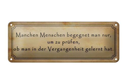 Blechschild Spruch 27x10cm manche Menschen begegnet man nur Dekoration