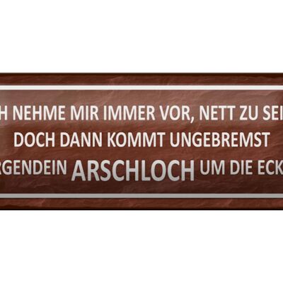 Blechschild Spruch 27x10cm ich immer nett doch Arschloch Dekoration