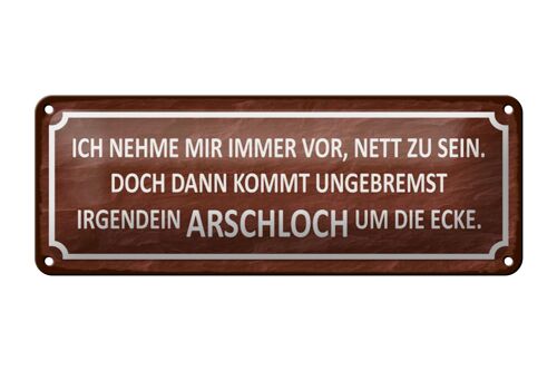 Blechschild Spruch 27x10cm ich immer nett doch Arschloch Dekoration